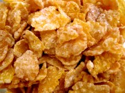 香脆的玉米饼图片