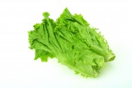 翠绿鲜嫩的生菜图片大全
