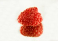 好吃营养的树莓图片