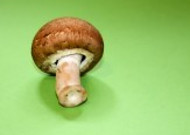 新鲜的香菇图片