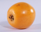 黄色的枇杷图片大全