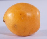 黄色的枇杷图片大全