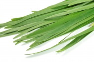 绿色新鲜的韭菜图片