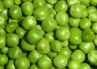 绿色的豌豆图片