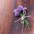 各种颜色的韭菜花图片