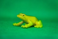 迷你青蛙玩具图片