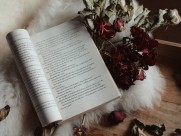 翻开的书籍的图片