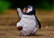 小小的企鹅玩具图片