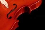 橘红色优雅的小提琴图片大全