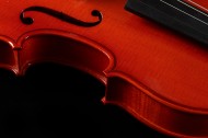 橘红色优雅的小提琴图片大全