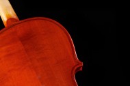 橘红色优雅的小提琴图片大全