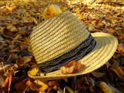 夏季出游必备的遮阳草帽图片大全