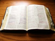 书籍图片 英语书图片