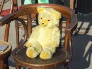 可爱的玩具熊图片