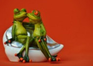 有趣的青蛙情侣摆件图片大全
