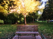 公共场合的椅子图片大全