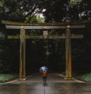 手里撑着伞的人图片大全