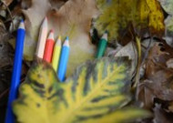 落叶上的彩色铅笔图片