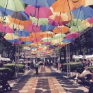 挂在空中的雨伞图片