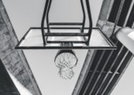 篮球架上的篮球框图片大全