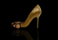 精致的高跟鞋图片