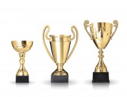 各种各样的奖杯图片大全