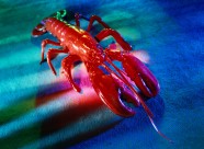 科幻色彩下的娱乐物件图片