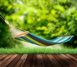 阳光下的吊床图片