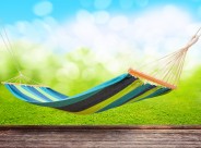 阳光下的吊床图片