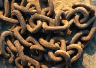 各式各样的绳索图片