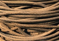 各式各样的绳索图片