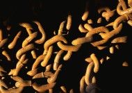 各式各样的绳索图片