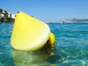 水中的浮标图片