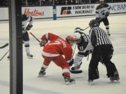 曲棍球运动图片大全