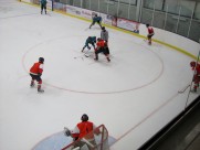 曲棍球运动图片大全