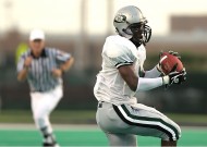 美式橄榄球之职业篇图片