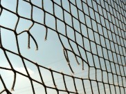 球场围网图片大全