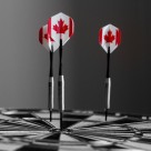 飞镖运动、飞镖盘图片