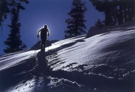 滑雪运动图片大全