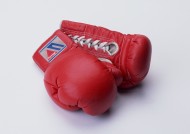 拳击用品图片大全