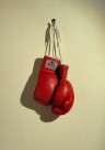 拳击用品图片大全