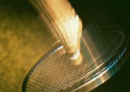 羽毛球运动用品图片大全