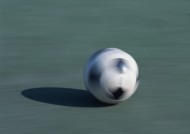 足球运动用品图片