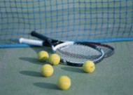 网球物品图片