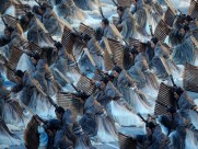 2008年北京奥运会开幕式图片