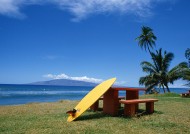 海边休闲娱乐活动图片大全