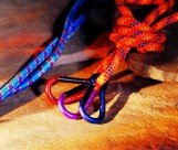 运动器械图片大全