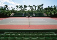 网球运动图片大全