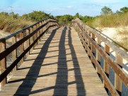 古朴的木桥图片大全