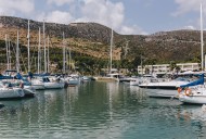 泊满船只的港口图片